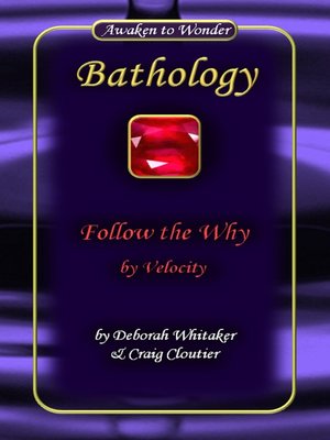 cover image of Follow the Why by Velocity Bathology Series